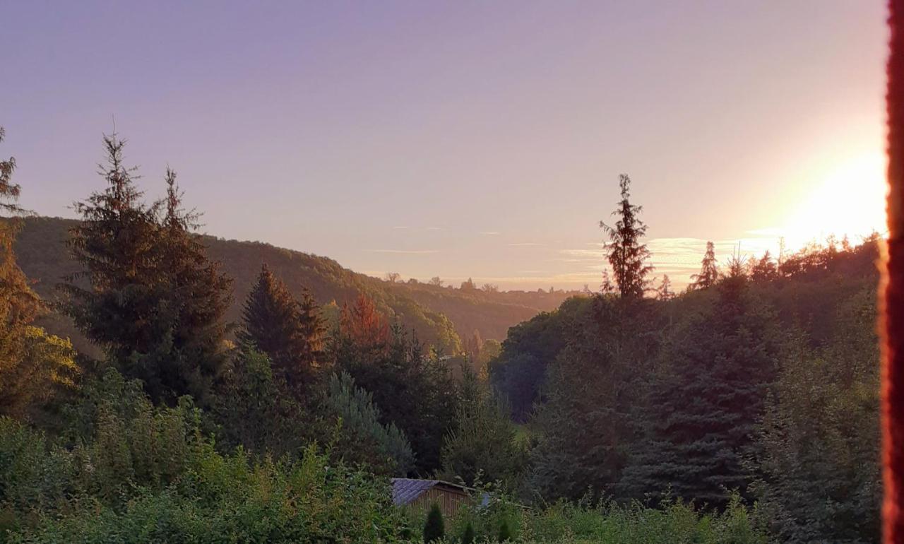Talblick 2 - Ihr Zuhause : Das Ferienhaus Mitten Im Idyllischen Tal Bad Bibra Экстерьер фото