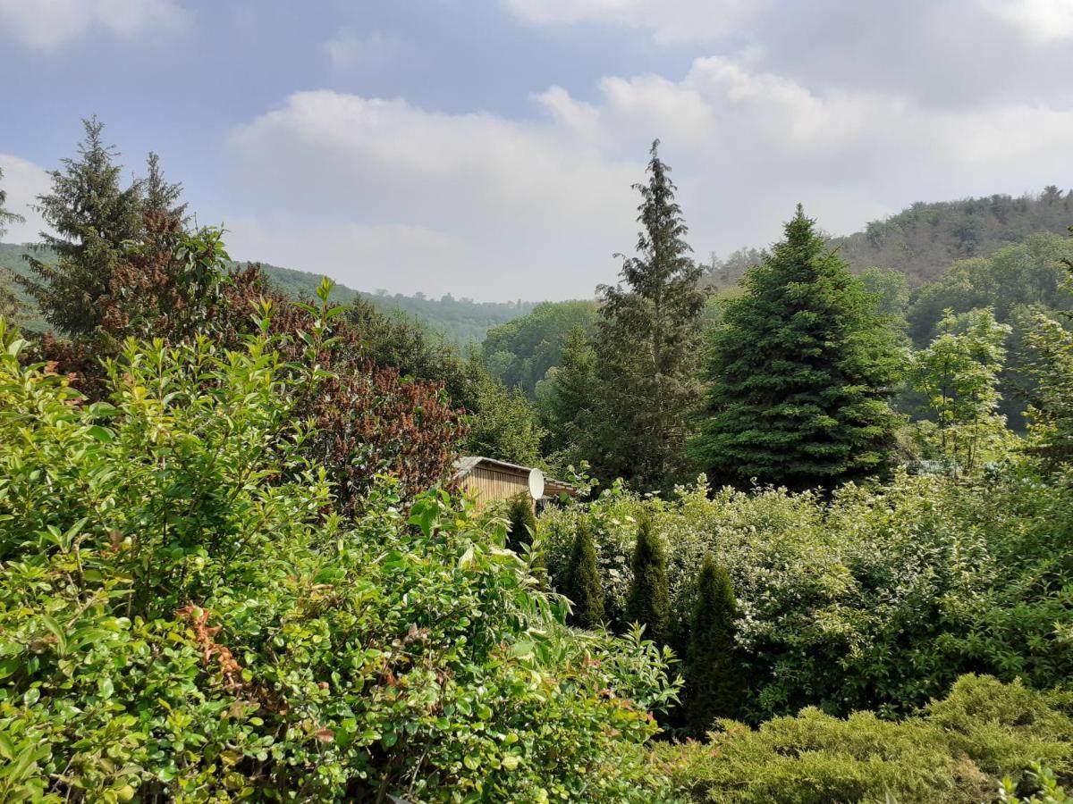Talblick 2 - Ihr Zuhause : Das Ferienhaus Mitten Im Idyllischen Tal Bad Bibra Экстерьер фото